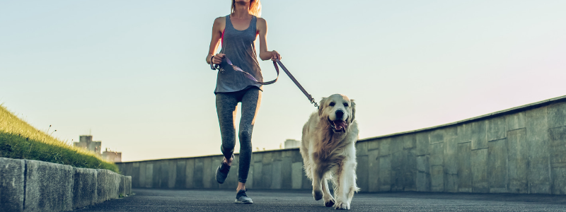 Diabetic girl running with dog to exercise